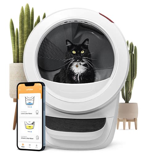 best electric litter boxes|highest rated litter robot.